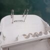 Rio 800 Cabin Fish - Imagen 5